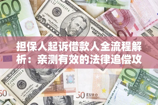 武汉担保人起诉借款人全流程解析：亲测有效的法律追偿攻略