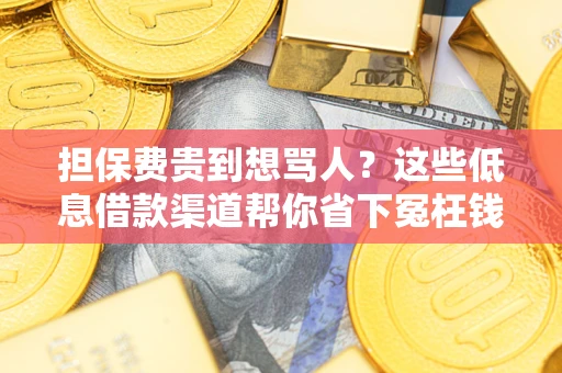武汉担保费贵到想骂人？这些低息借款渠道帮你省下冤枉钱