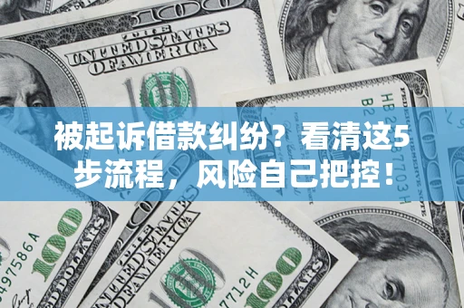 武汉被起诉借款纠纷？看清这5步流程，风险自己把控！