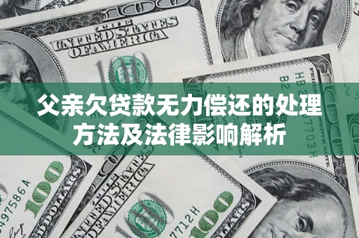 武汉父亲欠贷款无力偿还的处理方法及法律影响解析